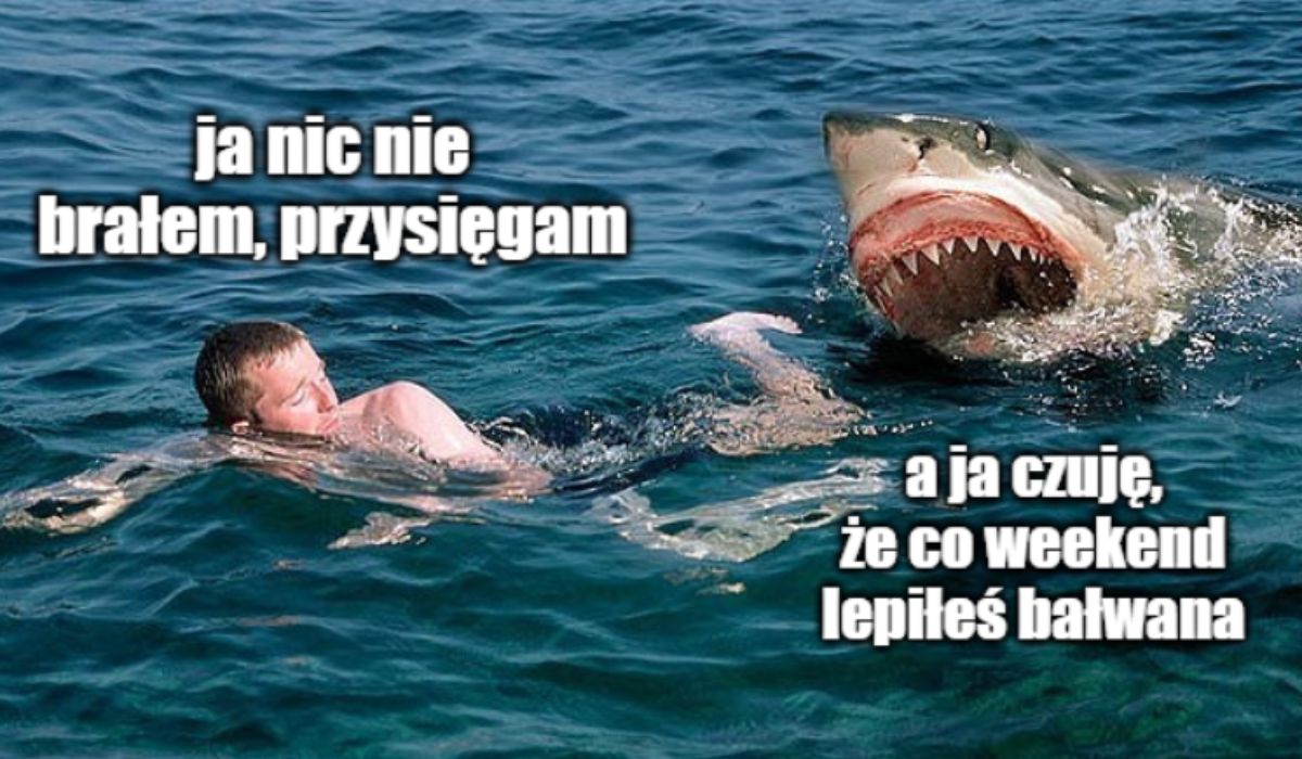 Brazylia: w rekinach u brzegów Rio De Janeiro wykryto znaczne stężenie kokainy