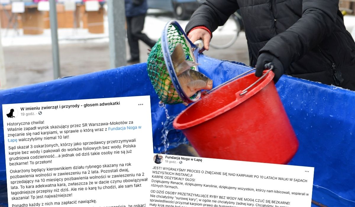 Finał sprawy ciągnącej się przez 10 lat: pracownicy E. Leclerca skazani za znęcanie się nad karpiami