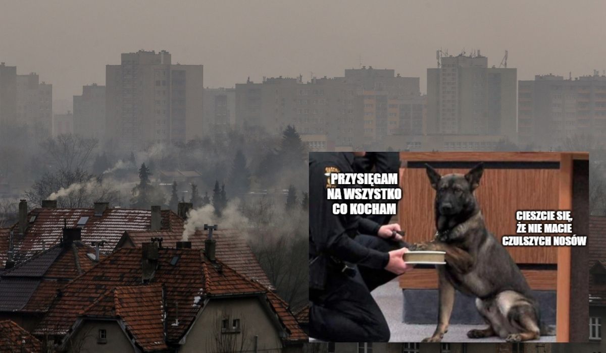 Sąd Najwyższy niebawem zdecyduje, czy Polacy mają prawo do czystego powietrza jako "dobra osobistego"