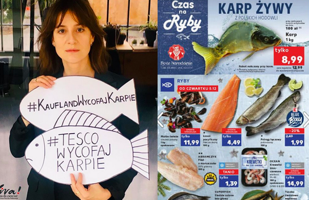 Carrefour i Kaufland jako jedyne sieci w Polsce uparły się na sprzedaż żywych karpi
