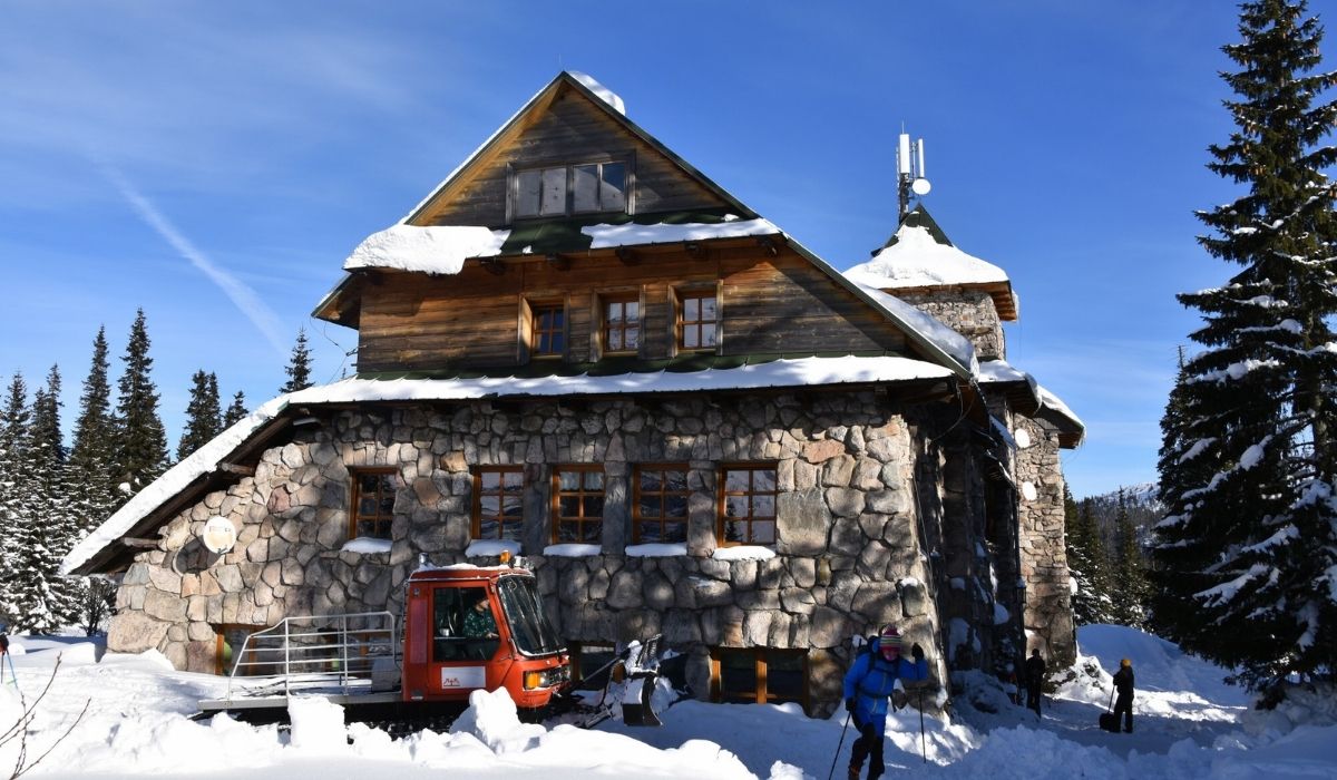 Obostrzenia sprawiły, że schroniska gromadzą ludzi w jednym pokoju, żeby pozostałe "mieć puste"