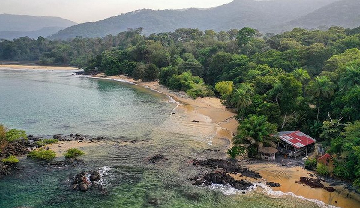 Chiny planują budować megaport w Sierra Leone, świadomie doprowadzą do katastrofy ekologicznej