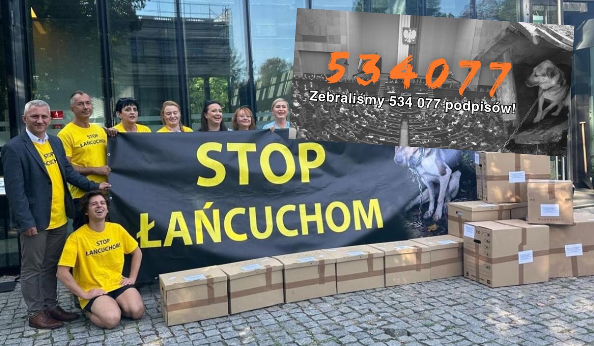 Możliwe, że uda się zakazać trzymania psów na łańcuchach, projekt ustawy trafi do Sejmu