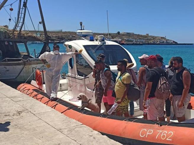11 imigrantów przebranych za turystów przypłynęło na Lampedusę, z pudlem na smyczy