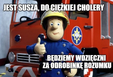 Straż Pożarna ostrzega przed wypalaniem traw, a hultaje co roku swoje