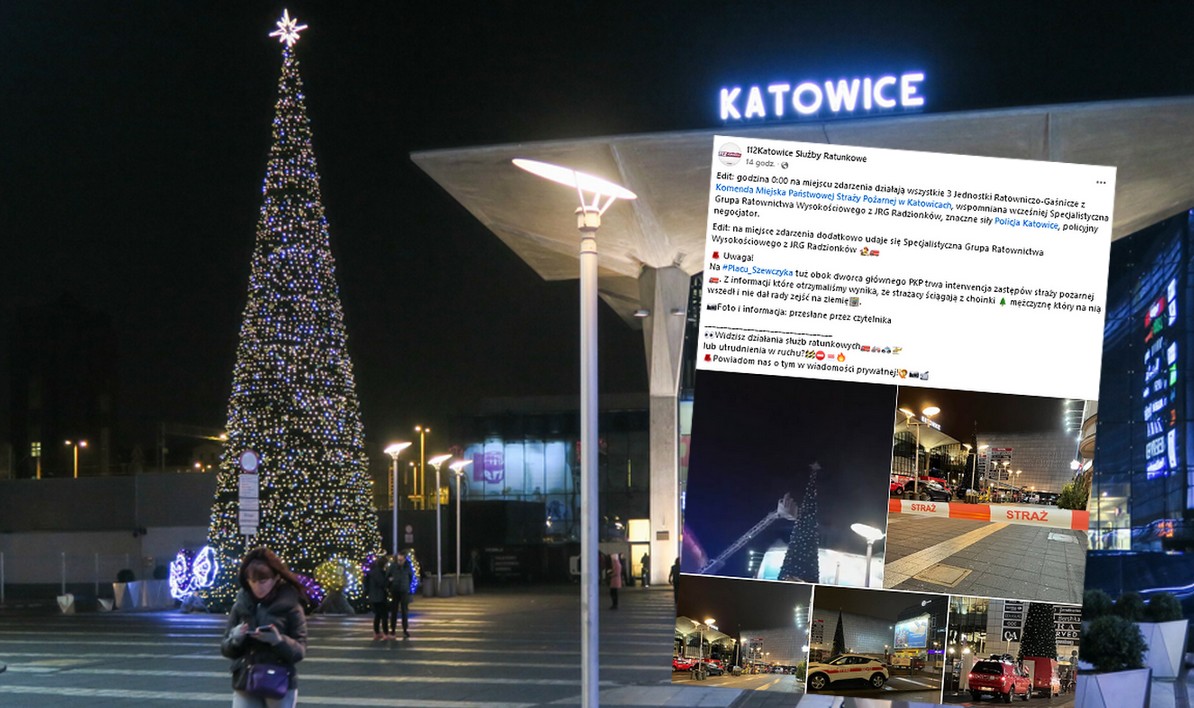 Katowice: uparty chłop wlazł na czubek wielkiej choinki w centrum i zaangażował służby na kilka godzin