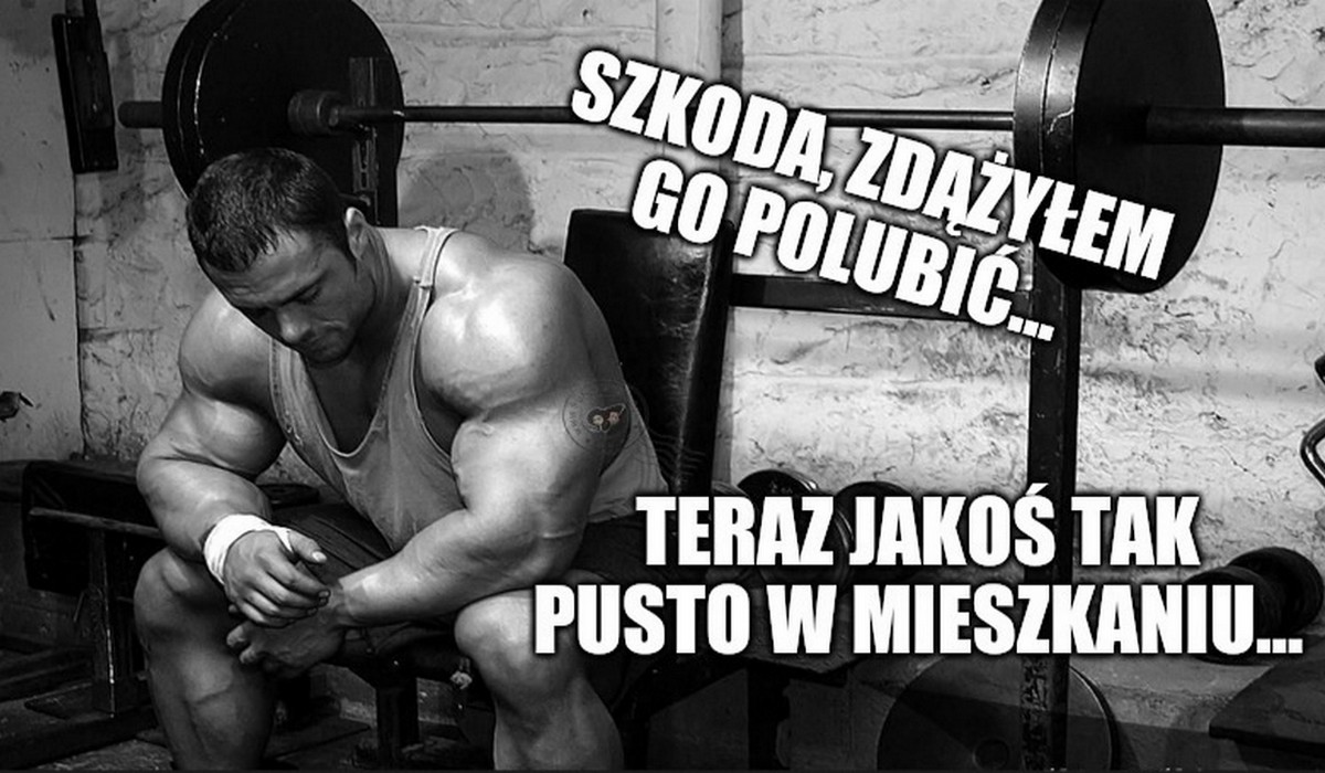 Kraków: pomysł z dwoma mężczyznami z pitbullem sprawdził się. Lokator opuścił mieszkanie