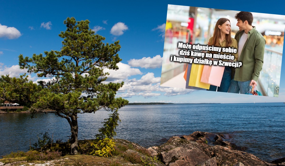 Szwecja: miasteczko wystawiło na sprzedaż działki w cenie kilkudziesięciu groszy za metr