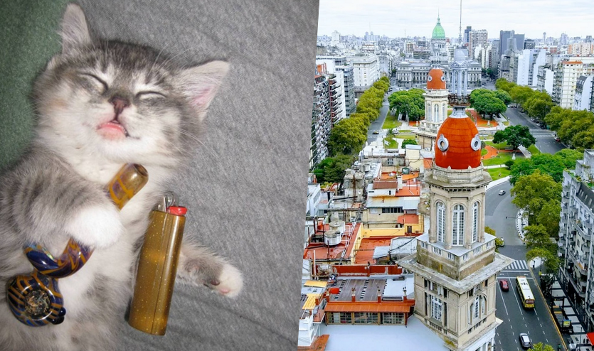 Argentyna: lockdown, kryzys i bieda, więc na poprawę humoru rząd pozwolił uprawiać w domu marihuanę