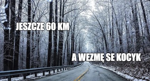 Wyglądał na potrzebującego pomocy, a potrzebował tylko miłości i PKS-a