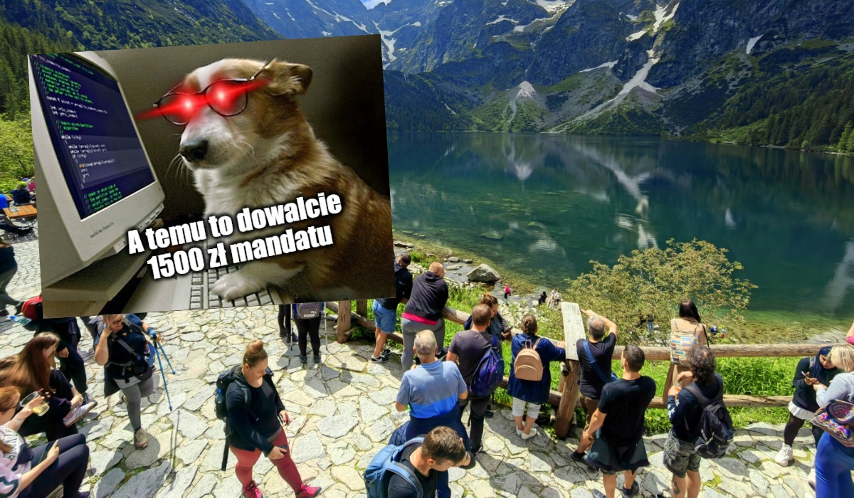 TPN zatrudnił "cyber rangera", ma ścigać tych, którzy niszczą przyrodę i chwalą się tym na Instagramie