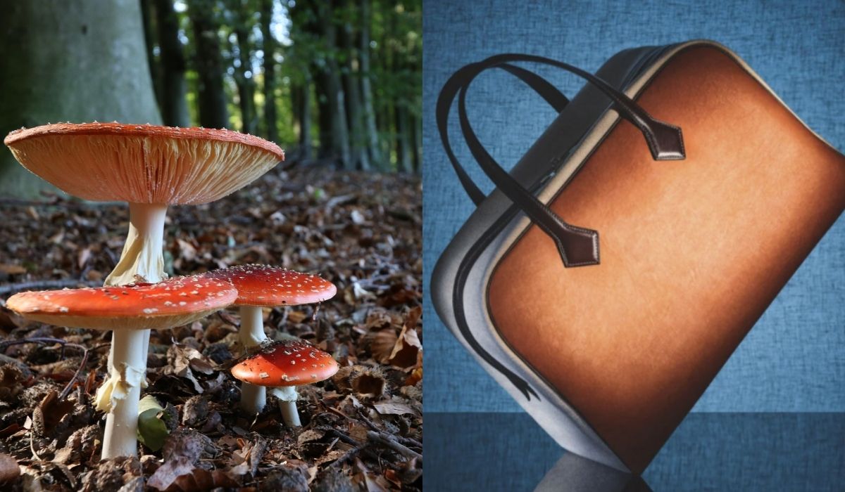 Hermès będzie produkował torebkę z materiału z grzybów