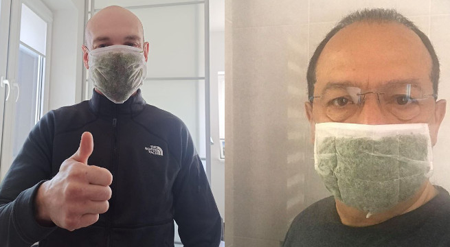 Naukowcy z SGGW opracowali maseczki ziołowe wielokrotnego użytku