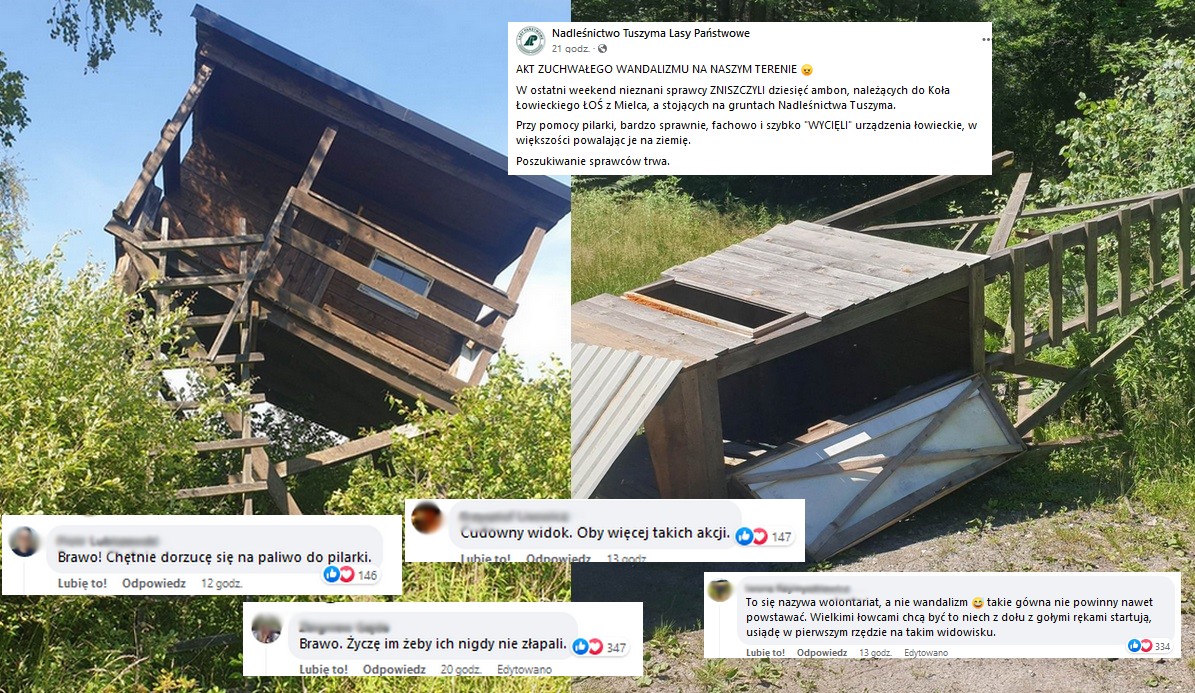 Nadleśnictwo Tuszyma: nieznani sprawcy zniszczyli ambony myśliwskie i to od razu 10