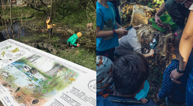 Świetny przykład na współpracę mieszkańców, NGO i państwa dla natury