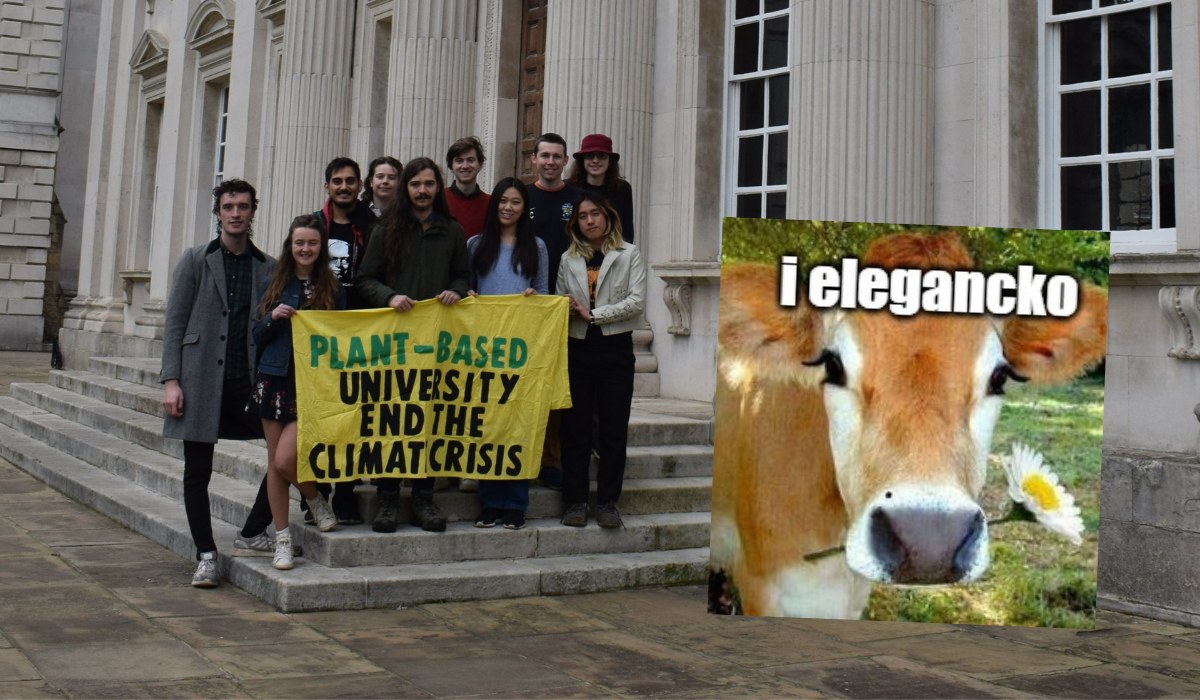 Cambridge: studenci uniwersytetu przegłosowali wyłącznie wegański jadłospis na stołówce