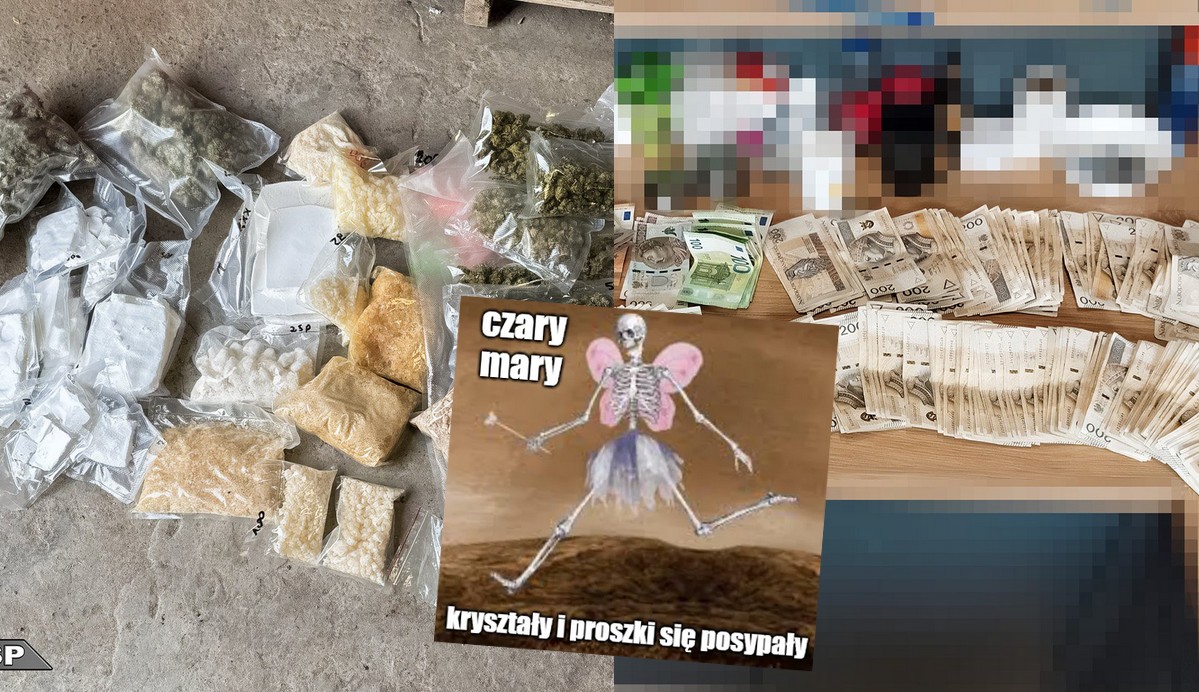 Polskie i czeskie służby uderzyły w gang mefedronowych wróżek, które dodawały skrzydeł znudzonym klientom