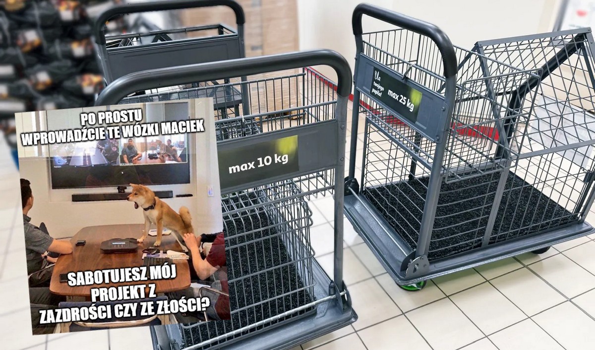 Auchan testuje wózki z miejscem na psa, żeby sobie tam siedział w czasie zakupów