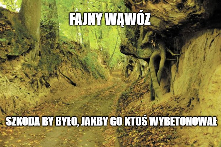 Kazimierz Dolny: radni chcą zabetonować wąwóz, żeby "ułatwić życie mieszkańcom"