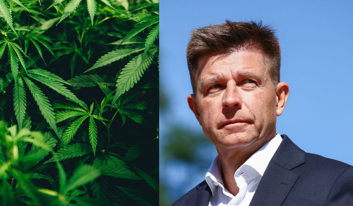 Petru chce legalizacji marihuany, ale jest indyferentny w kwestii posiadania krzaczka