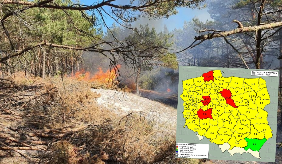 Ostrożnie w lesie: zagrożenie pożarami jest miejscami "ekstremalne", upały wysuszyły ściółkę leśną