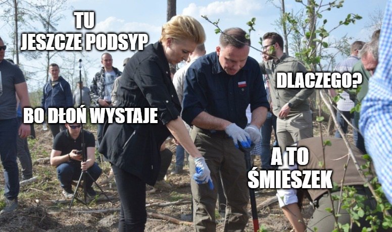 Coraz mniej zalesiania, ale coraz więcej propagandy Lasów Państwowych