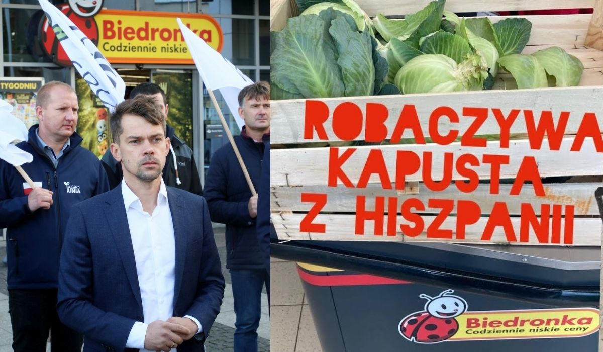 Lider Agrounii się doigrał i dostał pozew od Biedronki. "Za to, że mieli robaki w kapuście, a my to pokazaliśmy"