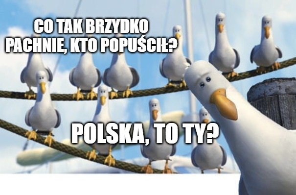 Szwedzkie media: Polska na potęgę zanieczyszcza Morze Bałtyckie fosforem