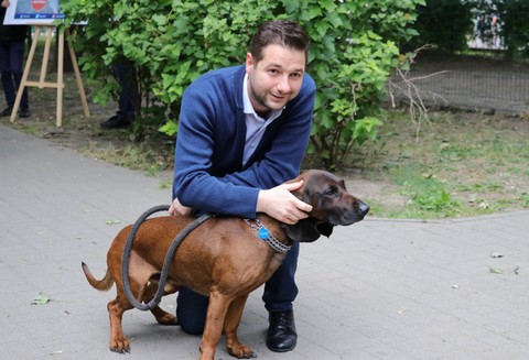 Jaki: "Wprowadzimy bon 1000 zł dla osób, które adoptują pieska lub kotka"