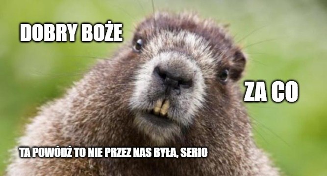 Minister rolnictwa wnosi o uznanie bobrów i żubrów za zwierzęta jadalne, zgadnij po co