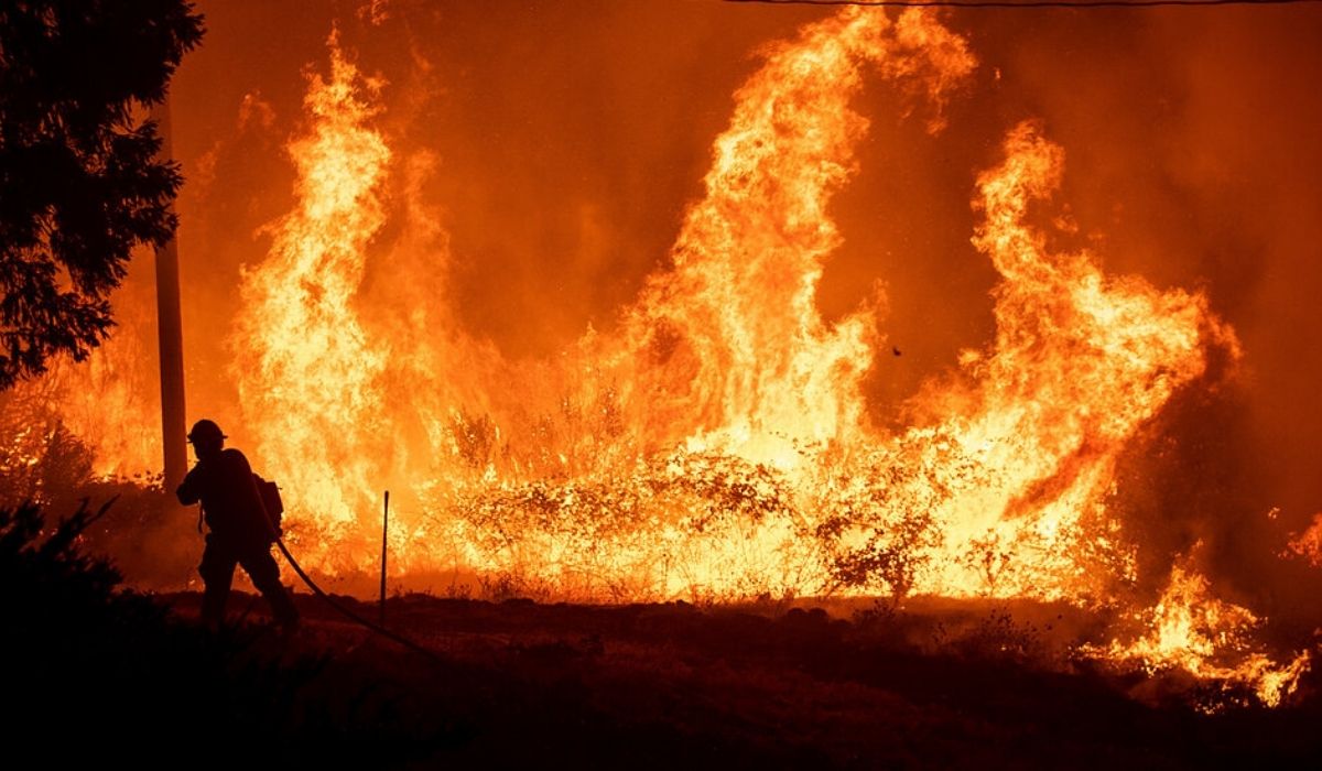Kobieta oskarżona o wywołanie 2 wielkich pożarów w Kalifornii. Grozi jej 50 lat więzienia i 59 mln dolarów kary