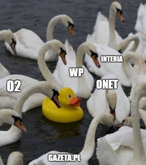 Ponad 100 tysięcy osób dziennie na donald.pl