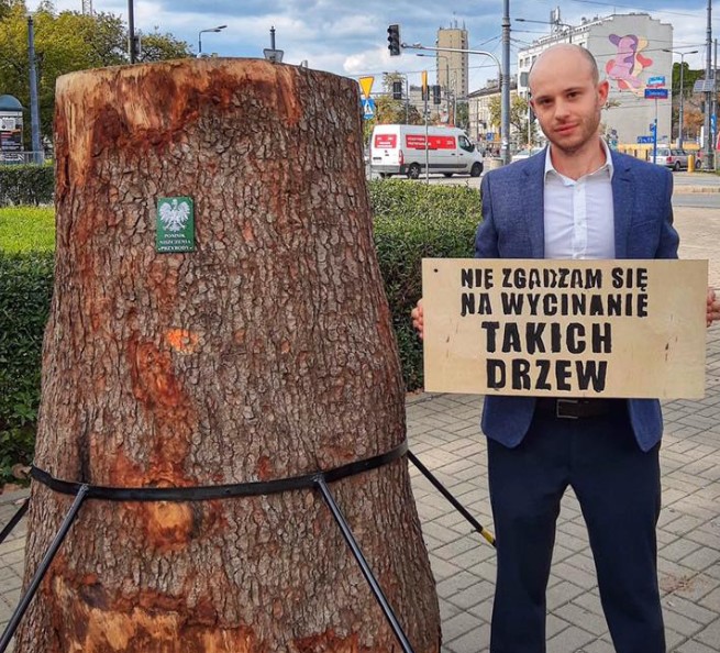 Jan Śpiewak: wstyd dla Lasów Państwowych za wycinanie starych drzew