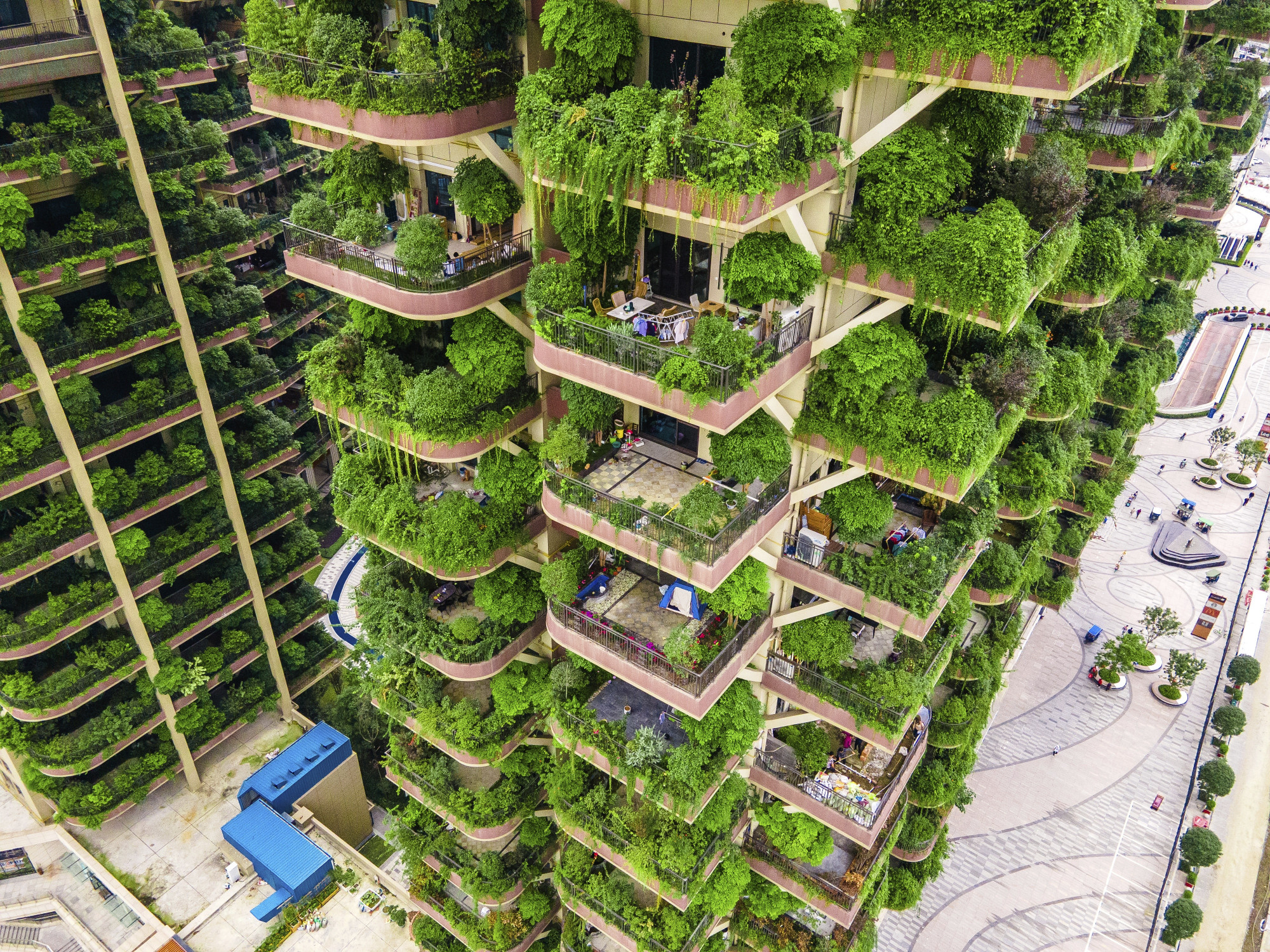 Chiny: miało być nowoczesne "zielone osiedle", ale spodobało się przede wszystkim komarom