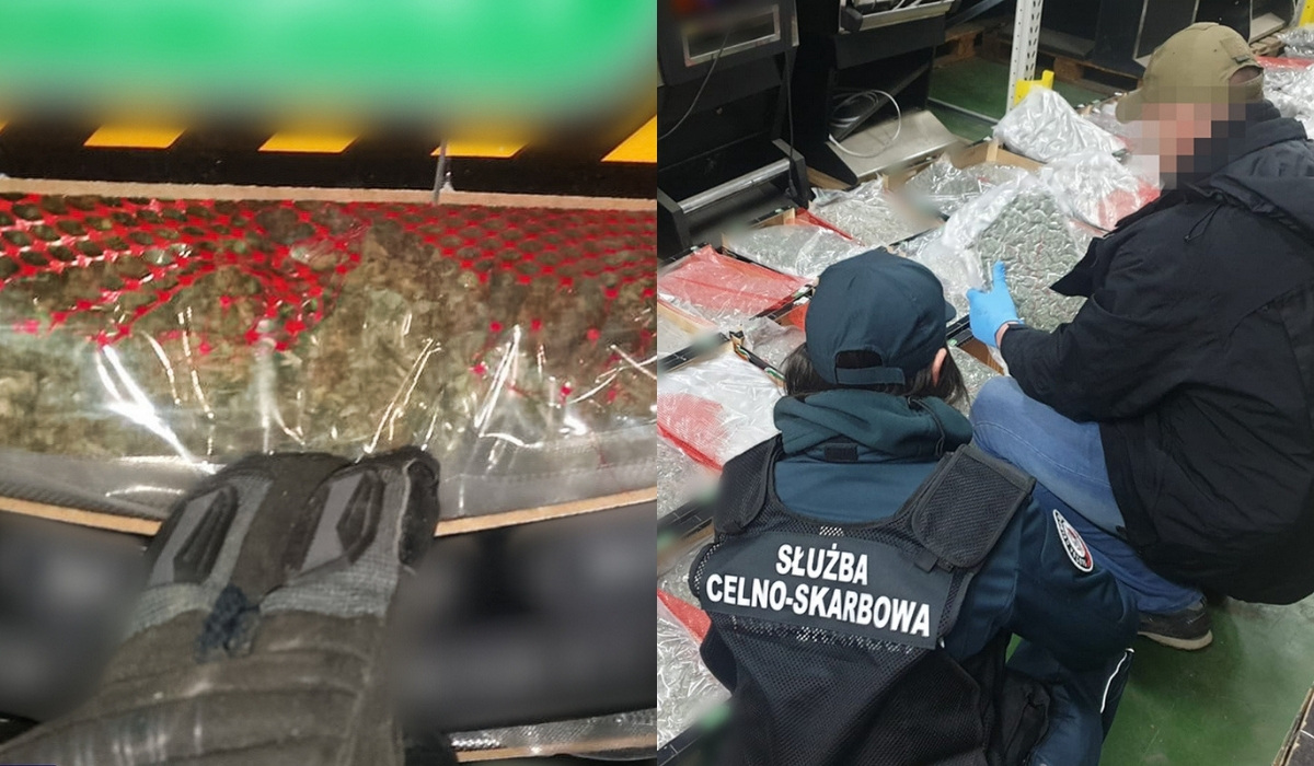 Służby zatrzymały transport pomarańczy z Hiszpanii i znalazły tam 177 kg marihuany