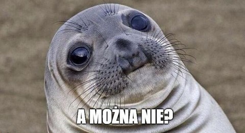 Ministerstwo Gospodarki Morskiej zgodzi się na zabijanie fok?