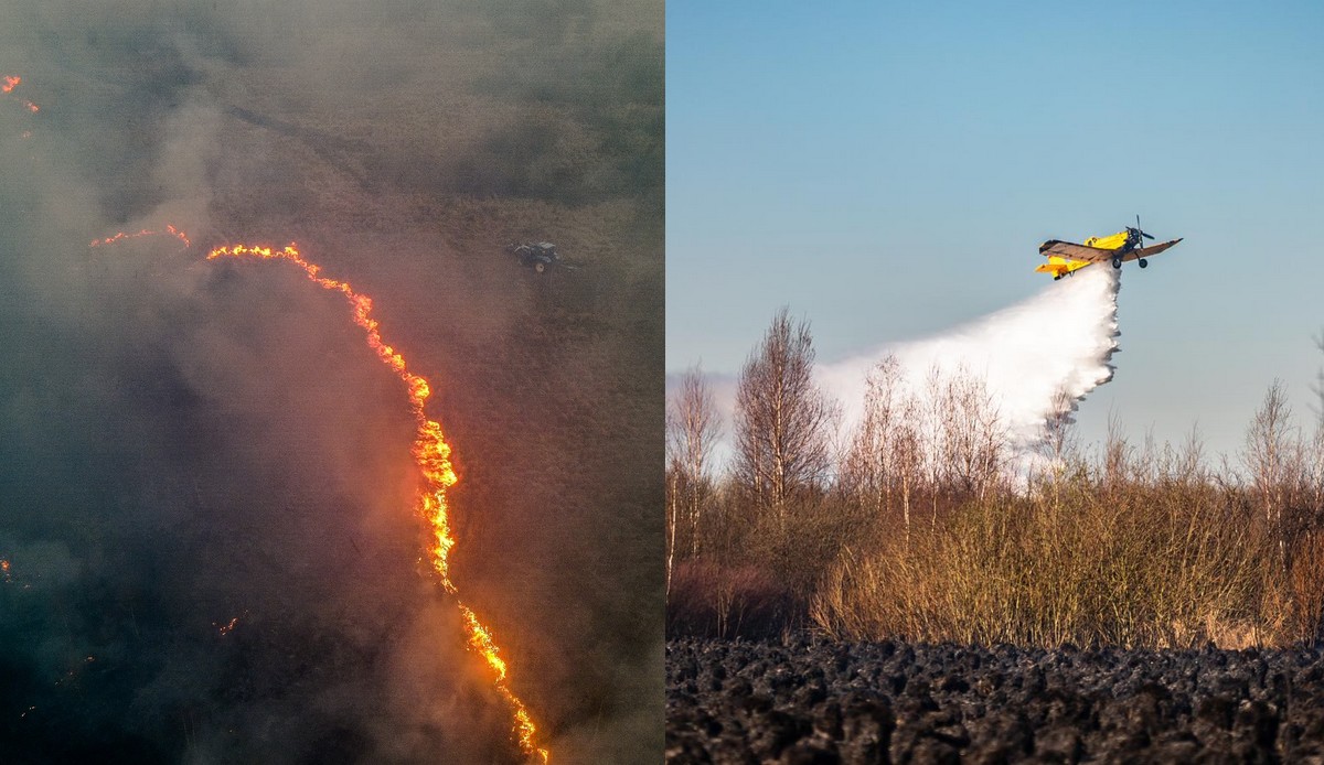 MSWiA ostrzega przed oszustami i fałszywymi zbiórkami na walkę z pożarem w Biebrzańskim Parku Narodowym