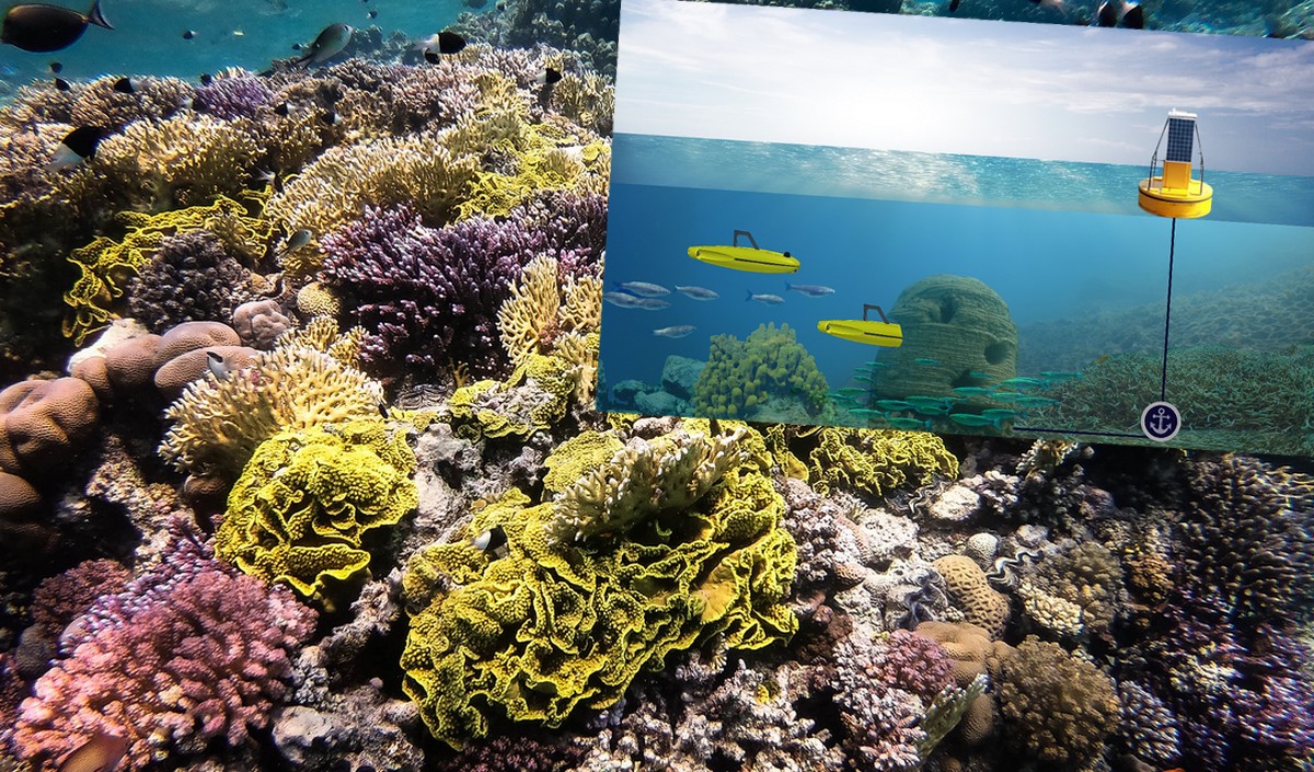 Podwodne roje dronów mają pomóc uratować rafy koralowe u wybrzeży Cypru