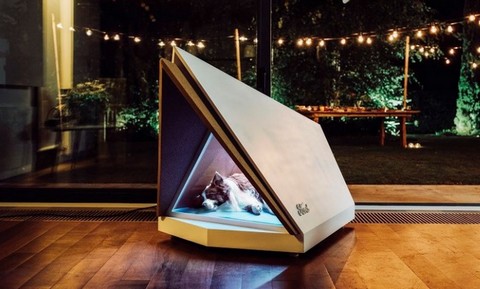 Pomysł na Sylwestra: buda dla psów, które boją się fajerwerków