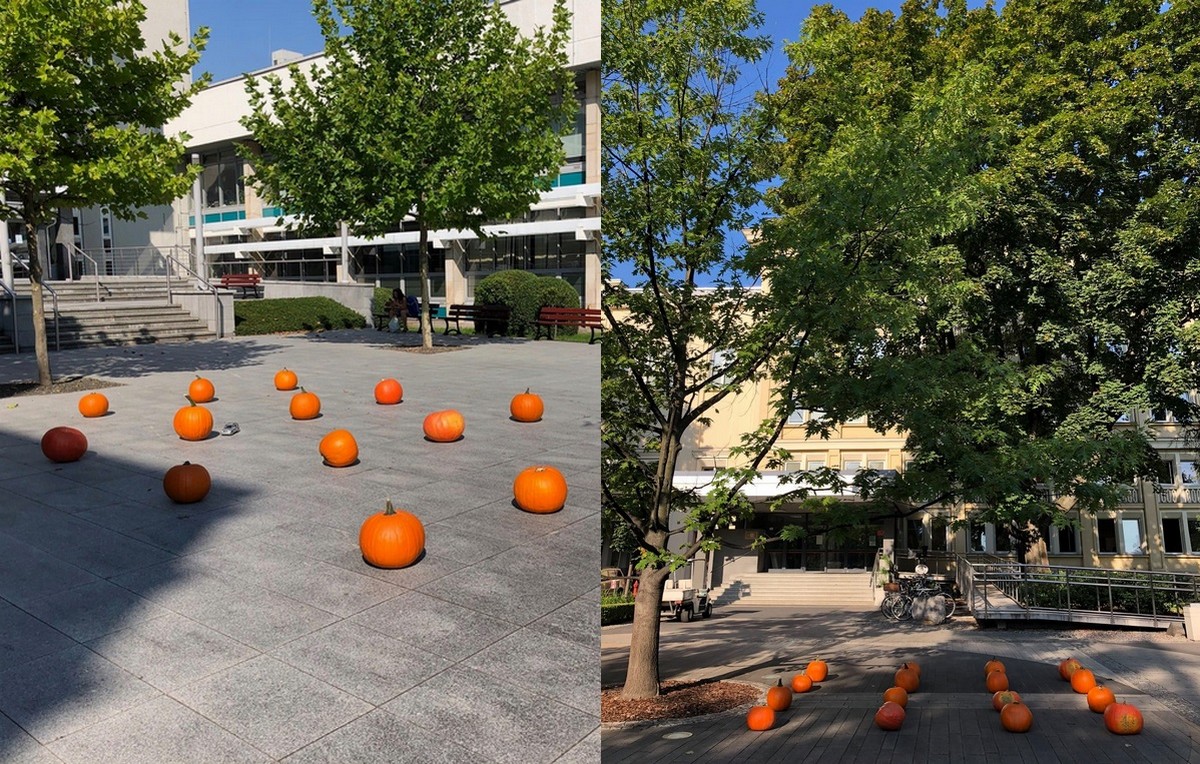 AGH stworzyła dyniowe instalacje przypominające studentom o zachowaniu dystansu społecznego