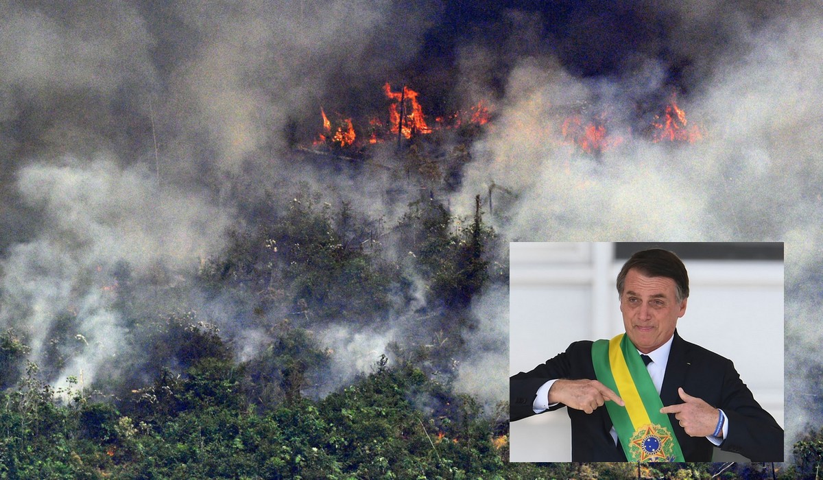 Brazylia: tylko w maju doszło do 2,3 tysiąca pożarów w amazońskich lasach