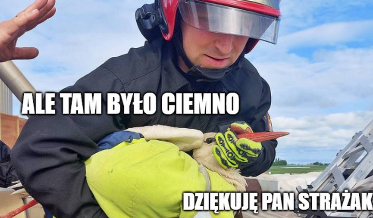 Strażacy się spięli i dzięki precyzyjnej akcji uratowali boćka z komina