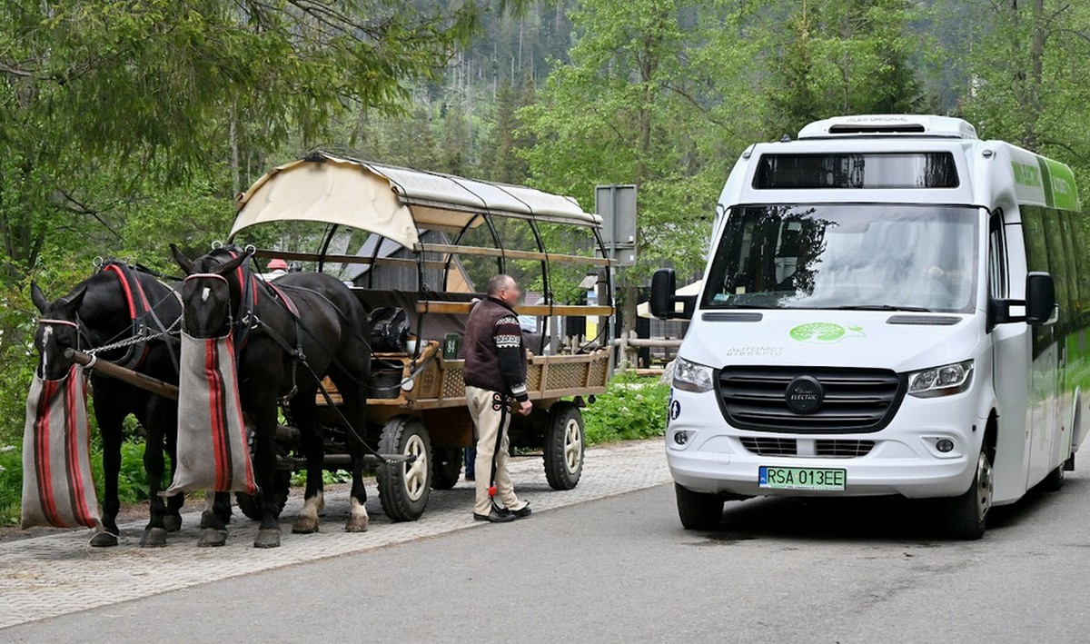 Konie z Zakopanego po nacisku z ministerstwa przejdą badania, by sprawdzić, czy praca ich nie wykańcza