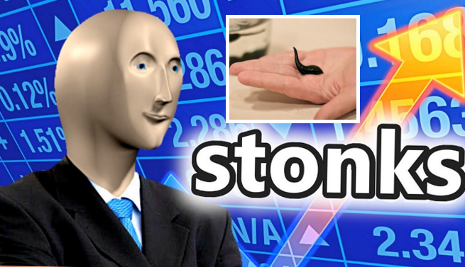 Sprzedaż pijawki lekarskiej wzrosła trzykrotnie, bo kupują ją osoby, które przeszły Covid-19