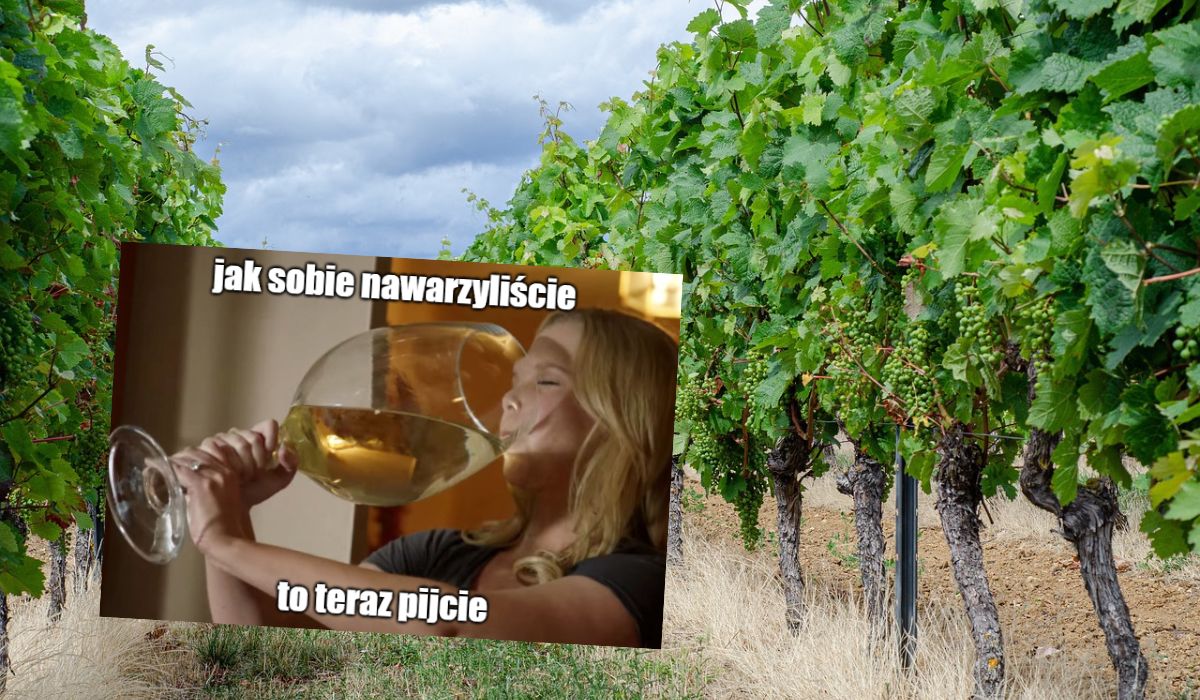 Australijczykom zrobiło się za dużo wina, w efekcie będą niszczyć część upraw