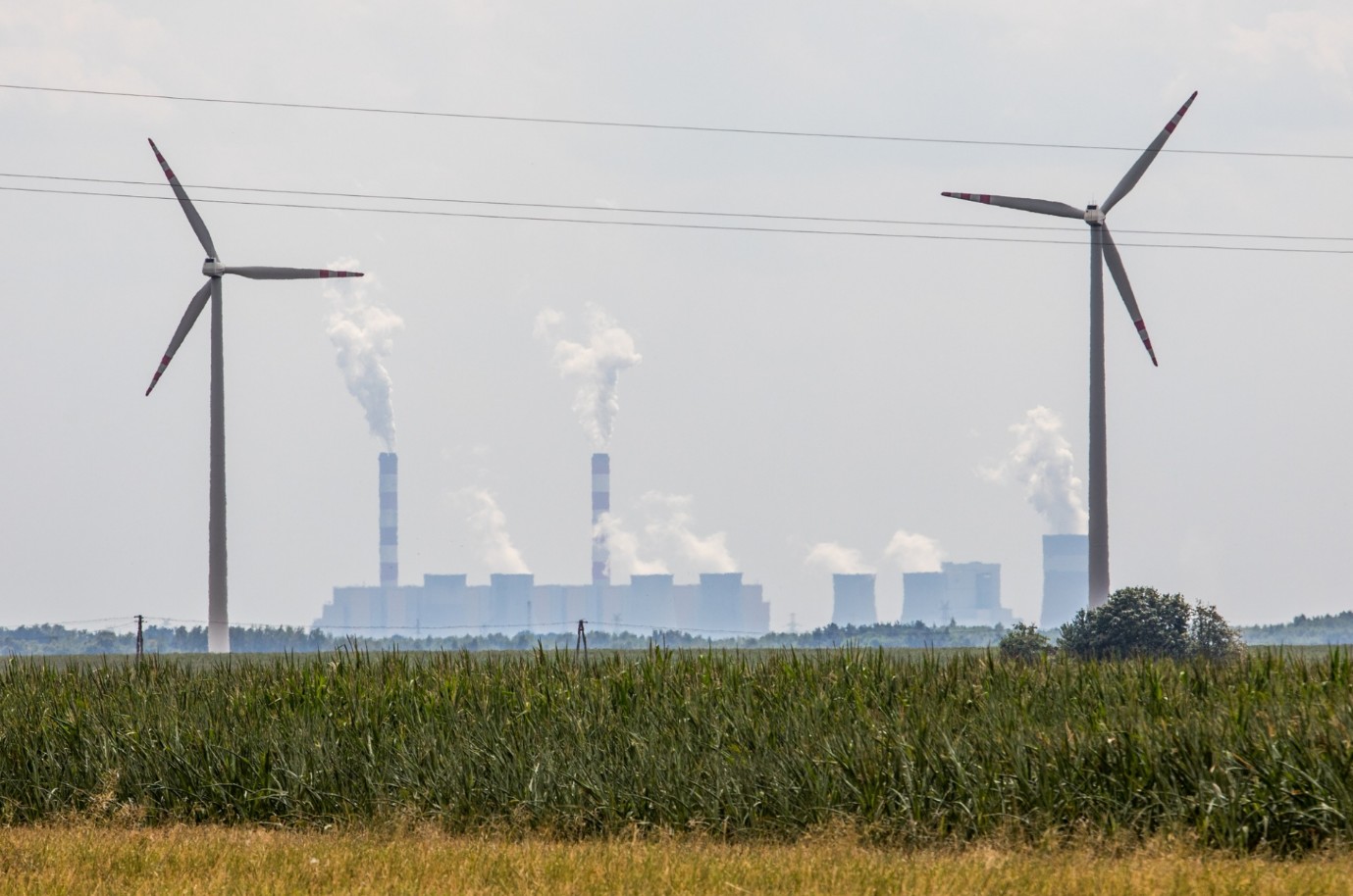 Elektrownia Bełchatów pozwana za trucie, pierwszy taki przypadek w Polsce