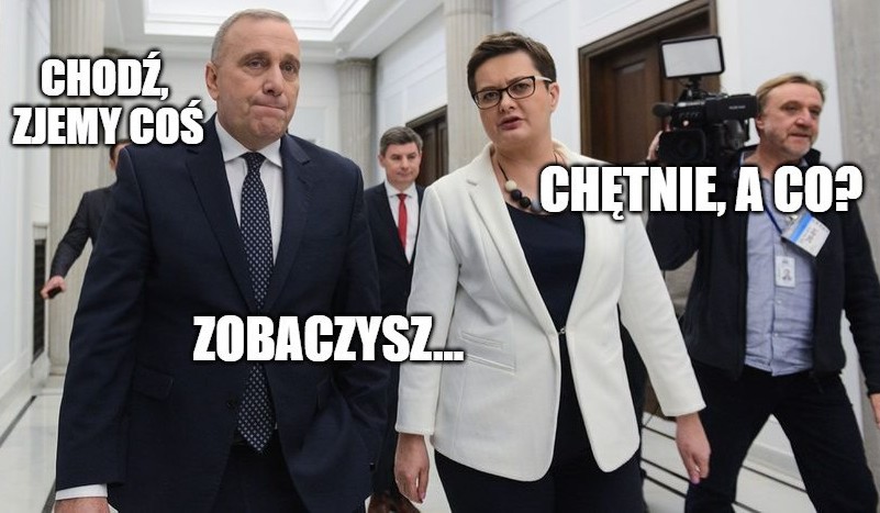 Onet: do jesieni .Nowoczesna będzie zlikwidowana i całkowicie wchłonięta przez PO