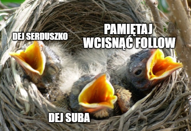 Instagram testuje funkcję ukrywania ilości serduszek pod zdjęciem 