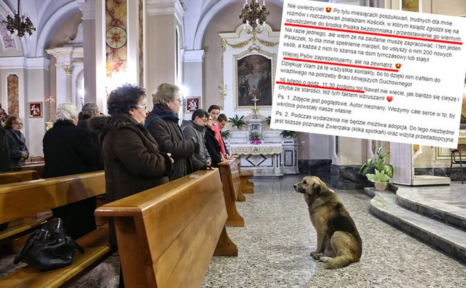 Olsztyn: w kościele ksiądz przedstawi wiernym psa do adopcji