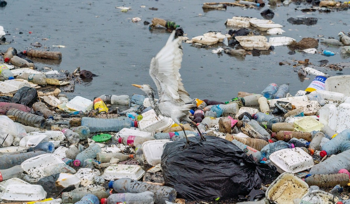 Raport: USA produkują dwa razy więcej plastikowych śmieci niż Chiny